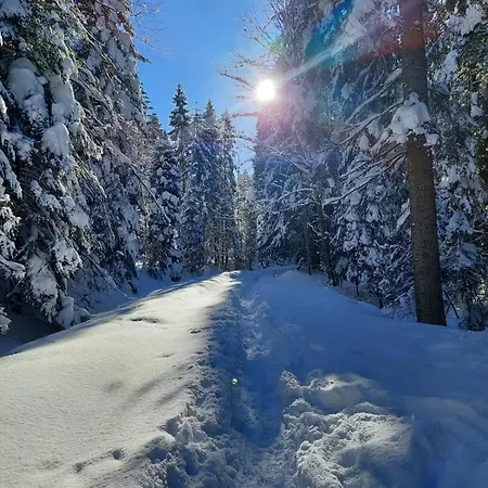 Apartament Koninki Daire *