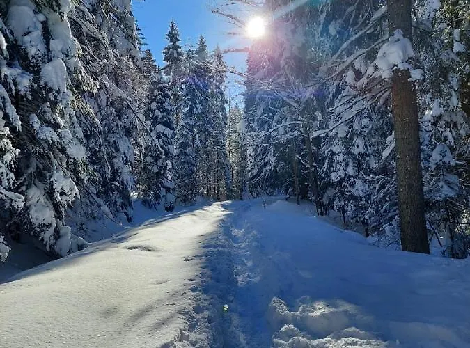 Apartament Koninki דירה *